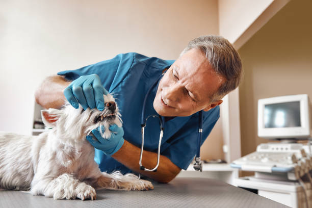 Best Weekend Emergency Dentist in Weber City, VA